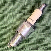 T�ndr�r Champion N9YC