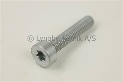 Skrue 5x25 mm . Torx